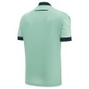 Jalkapallo Pelipaidat/Peliasut FC Nantes Vieraspelipaita 2025-26